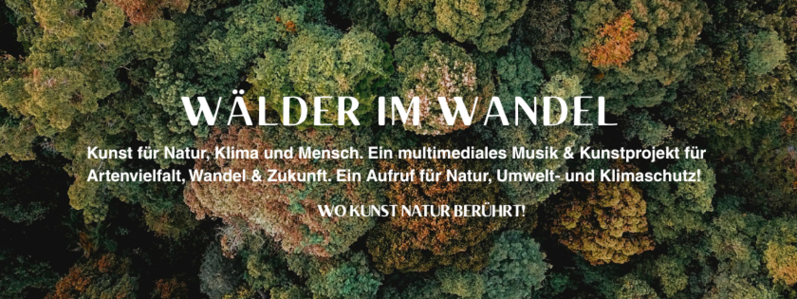 Wälder im Wandel